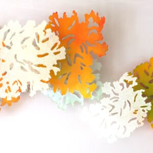 mosdiertjes, plexiglas