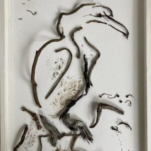 Aalscholver. assemblage 45x33.5 cm.