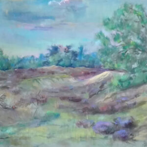 duinen met heide pastel