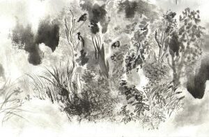 impression from a walk