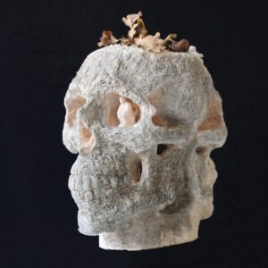 hersenspinsels 40 -26 - 36 cm beschildert terra cotta